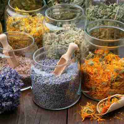 The Herbalist's First Apothecary - Starter Kit – Spirit of the Herbs Profile Picture
