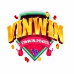 VINWIN VINWIN