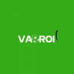 Vaoroitv express
