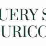 charleston lawyers