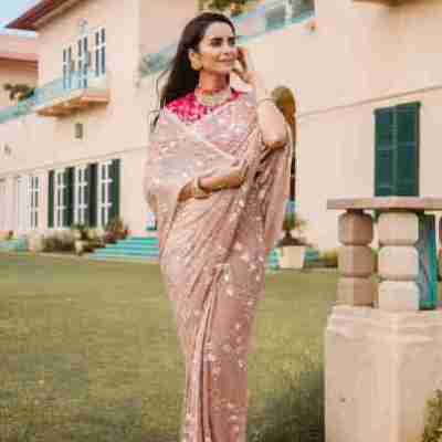 light brown pure chiffon kardana sequins jaal handwork saree Profile Picture