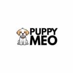 Best Pet Care Products