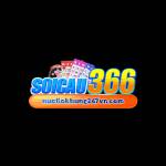 Nuoilokhung247vn com