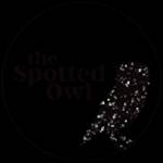 thespotted owl