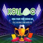 Xem bong da XoilacTV