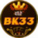 BK33 BK33