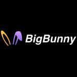 BIGBUNNY 8net